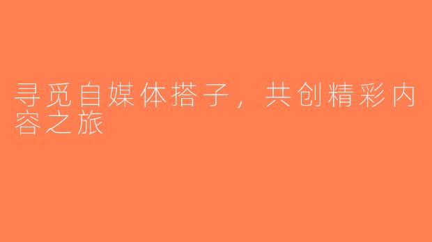 寻觅自媒体搭子，共创精彩内容之旅