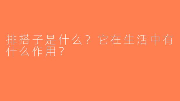 排搭子是什么？它在生活中有什么作用？