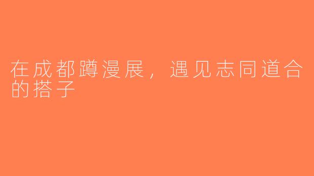 在成都蹲漫展，遇见志同道合的搭子