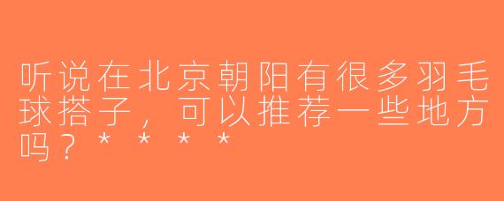 听说在北京朝阳有很多羽毛球搭子，可以推荐一些地方吗？****