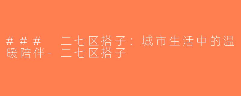 ### 二七区搭子：城市生活中的温暖陪伴-二七区搭子