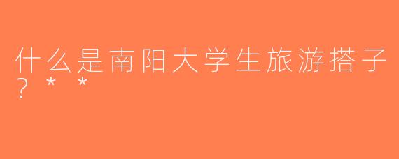 什么是南阳大学生旅游搭子？**
