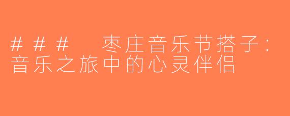 ### 枣庄音乐节搭子：音乐之旅中的心灵伴侣