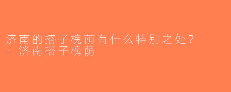 济南的搭子槐荫有什么特别之处？  -济南搭子槐荫