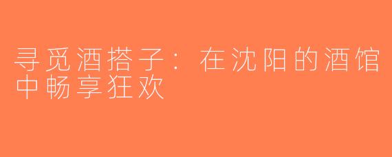 寻觅酒搭子：在沈阳的酒馆中畅享狂欢