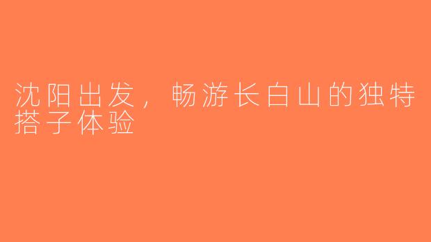 沈阳出发，畅游长白山的独特搭子体验