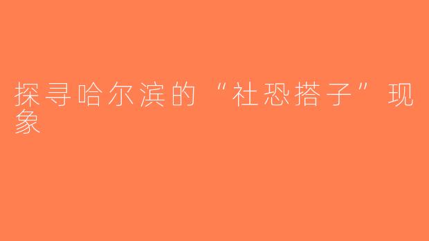 探寻哈尔滨的“社恐搭子”现象