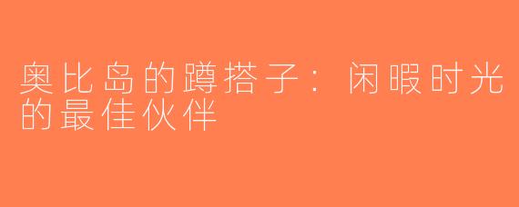 奥比岛的蹲搭子：闲暇时光的最佳伙伴