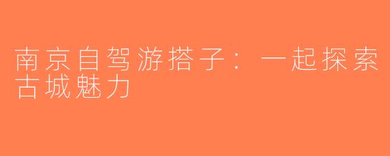 南京自驾游搭子：一起探索古城魅力