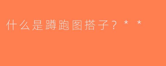 什么是蹲跑图搭子？**
