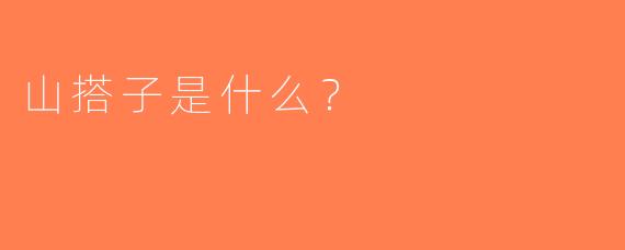 山搭子是什么？
