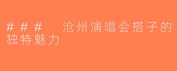 ### 沧州演唱会搭子的独特魅力