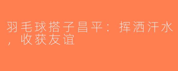 羽毛球搭子昌平：挥洒汗水，收获友谊