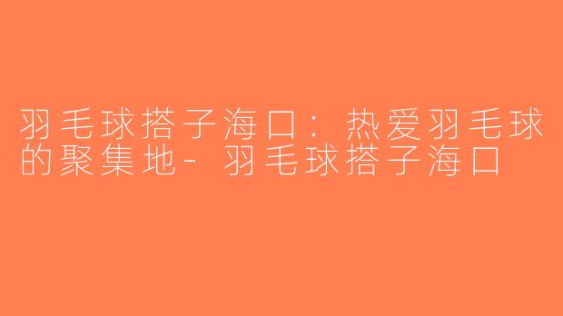羽毛球搭子海口：热爱羽毛球的聚集地-羽毛球搭子海口