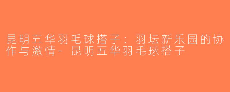 昆明五华羽毛球搭子：羽坛新乐园的协作与激情-昆明五华羽毛球搭子
