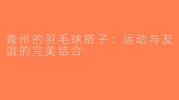 青州的羽毛球搭子：运动与友谊的完美结合