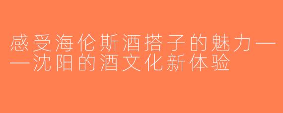 感受海伦斯酒搭子的魅力——沈阳的酒文化新体验