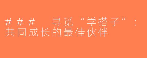 ### 寻觅“学搭子”：共同成长的最佳伙伴