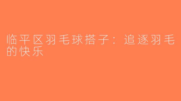 临平区羽毛球搭子：追逐羽毛的快乐