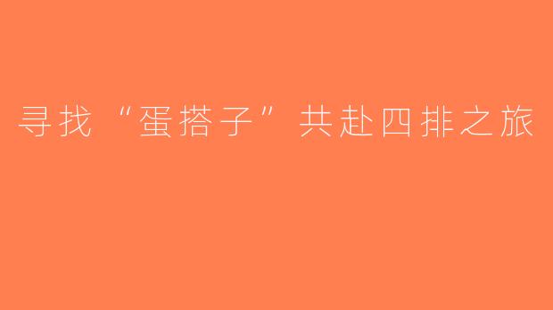 寻找“蛋搭子”共赴四排之旅