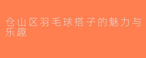 仓山区羽毛球搭子的魅力与乐趣