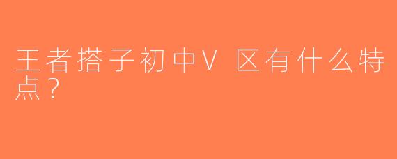王者搭子初中V区有什么特点？
