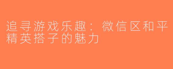 追寻游戏乐趣：微信区和平精英搭子的魅力