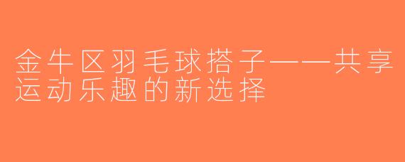 金牛区羽毛球搭子——共享运动乐趣的新选择