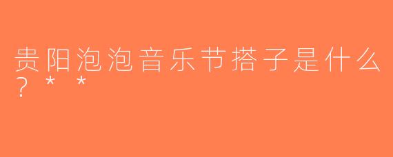贵阳泡泡音乐节搭子是什么？**