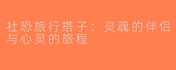 社恐旅行搭子：灵魂的伴侣与心灵的旅程