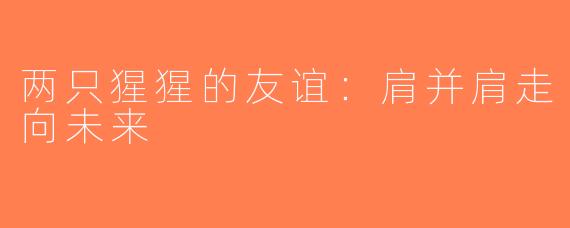 两只猩猩的友谊：肩并肩走向未来