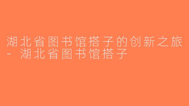 湖北省图书馆搭子的创新之旅-湖北省图书馆搭子