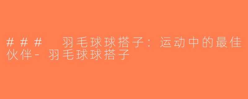 ### 羽毛球球搭子：运动中的最佳伙伴-羽毛球球搭子