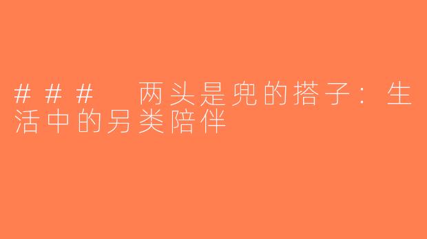 ### 两头是兜的搭子：生活中的另类陪伴