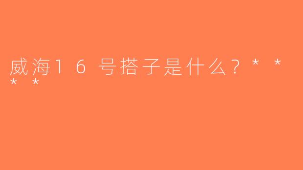 威海16号搭子是什么？****