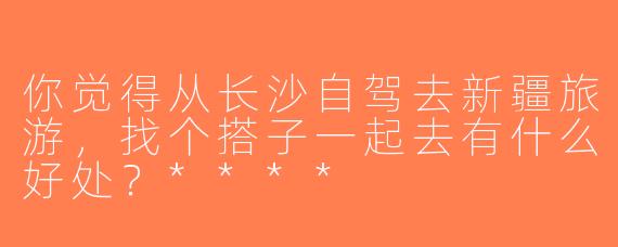 你觉得从长沙自驾去新疆旅游，找个搭子一起去有什么好处？****