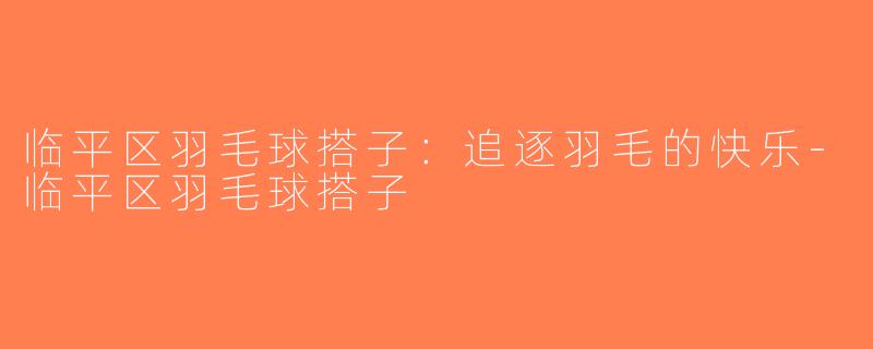 临平区羽毛球搭子：追逐羽毛的快乐-临平区羽毛球搭子