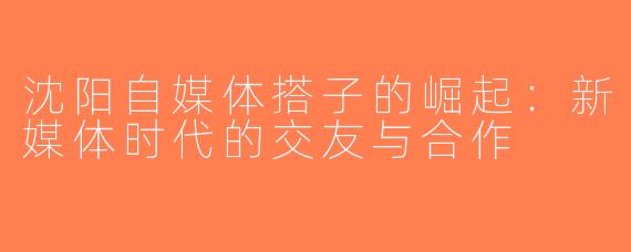 沈阳自媒体搭子的崛起：新媒体时代的交友与合作