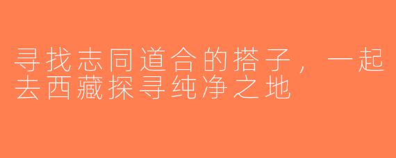 寻找志同道合的搭子，一起去西藏探寻纯净之地