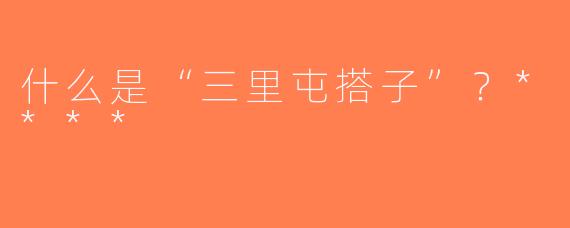 什么是“三里屯搭子”？****