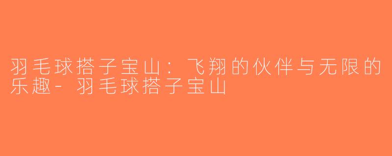 羽毛球搭子宝山：飞翔的伙伴与无限的乐趣-羽毛球搭子宝山