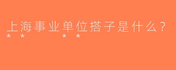 上海事业单位搭子是什么？**  **