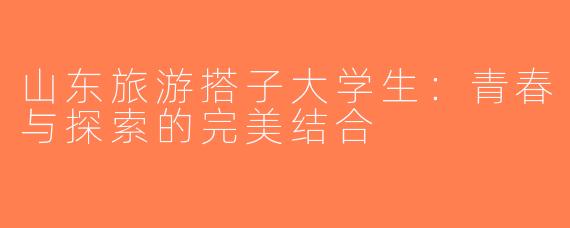 山东旅游搭子大学生：青春与探索的完美结合