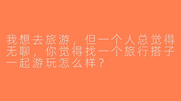 我想去旅游，但一个人总觉得无聊，你觉得找一个旅行搭子一起游玩怎么样？