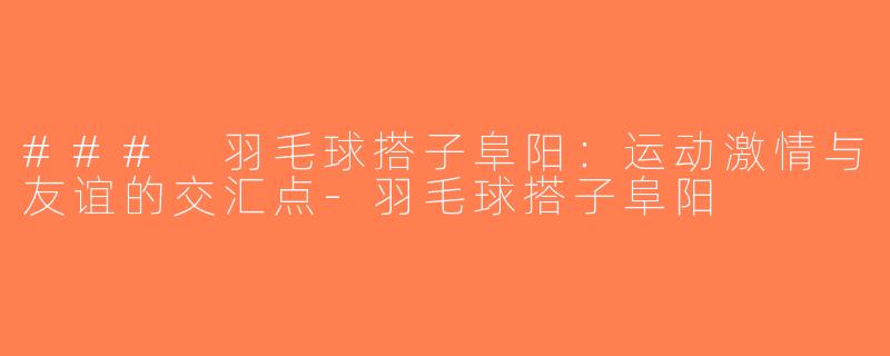 ### 羽毛球搭子阜阳：运动激情与友谊的交汇点-羽毛球搭子阜阳