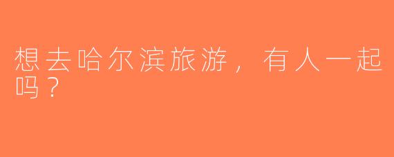 想去哈尔滨旅游，有人一起吗？