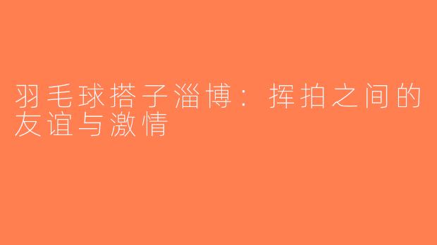 羽毛球搭子淄博：挥拍之间的友谊与激情