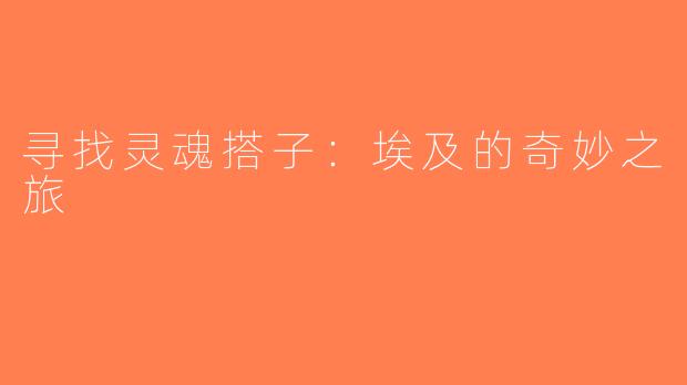 寻找灵魂搭子：埃及的奇妙之旅