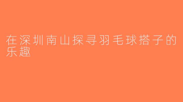 在深圳南山探寻羽毛球搭子的乐趣