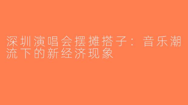 深圳演唱会摆摊搭子：音乐潮流下的新经济现象